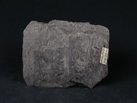 石墨片岩藏品圖，第2張
