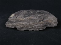 石墨片岩藏品圖，第3張