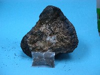 錳核藏品圖，第5張