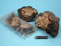錳核藏品圖，第5張