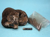 錳核藏品圖，第5張