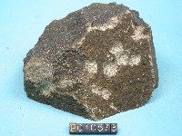 微輝長斑岩藏品圖，第2張