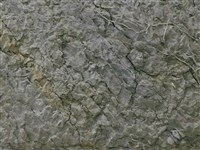 黑沃土綱藏品圖，第2張
