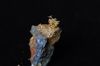 自然金藏品圖，第2張
