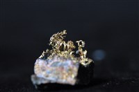 自然金藏品圖，第2張
