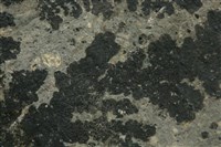 軟錳礦藏品圖，第2張