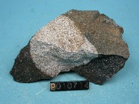 火山碎屑岩藏品圖，第3張