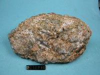 偉晶岩藏品圖，第3張