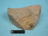 白崗岩藏品圖，第2張