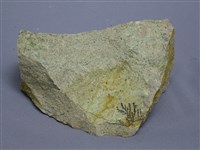 白崗岩藏品圖，第1張