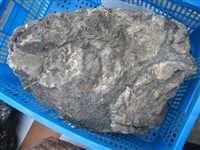 玻璃質玄武岩藏品圖，第1張