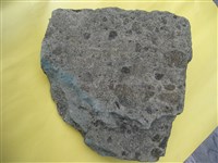 火山碎屑岩藏品圖，第2張