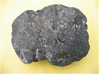玻璃質玄武岩藏品圖，第1張