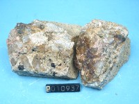 偉晶岩藏品圖，第3張