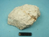 流紋岩藏品圖，第2張