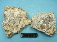 流紋岩藏品圖，第4張