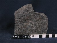 斜長角閃片麻岩藏品圖，第1張