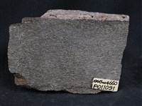 斜長角閃片麻岩藏品圖，第3張