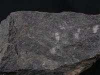 藍色片岩藏品圖，第3張
