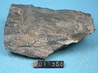 頁岩藏品圖，第6張