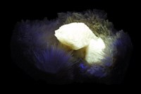 鉬鈣礦/中性針沸石藏品圖，第3張