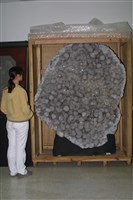 水晶藏品圖，第6張
