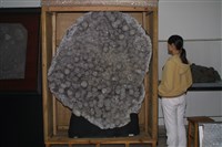 水晶藏品圖，第7張