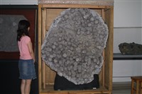 水晶藏品圖，第8張