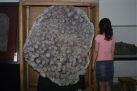 水晶藏品圖，第12張