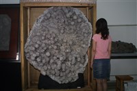 水晶藏品圖，第13張