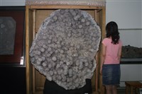 水晶藏品圖，第14張