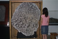 水晶藏品圖，第15張