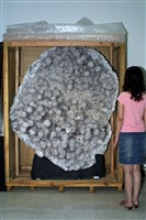 水晶藏品圖，第16張