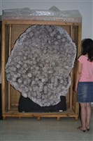 水晶藏品圖，第17張
