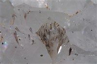 水晶藏品圖，第28張