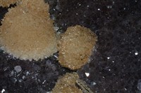 紫水晶藏品圖，第5張