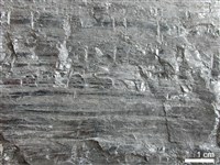 煤藏品圖，第2張