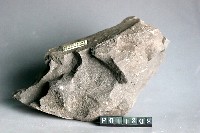 頁岩藏品圖，第4張