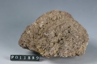 火山碎屑岩藏品圖，第2張