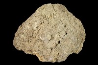 火山碎屑岩藏品圖，第1張