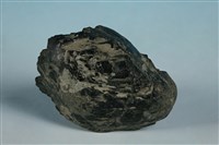 普通角閃石藏品圖，第2張