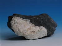 硬頁岩藏品圖，第2張