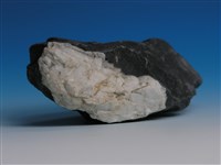 硬頁岩藏品圖，第3張