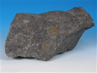 硬頁岩藏品圖，第3張