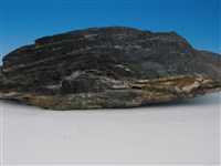 黑色片岩藏品圖，第2張