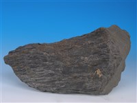 黑色片岩藏品圖，第2張