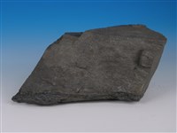 黑色片岩藏品圖，第3張