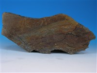 變質砂岩藏品圖，第2張