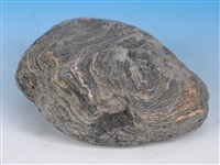 黑色片岩藏品圖，第3張