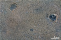 冰磧岩藏品圖，第1張